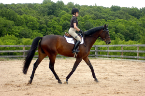 horse-riding-in-qatar